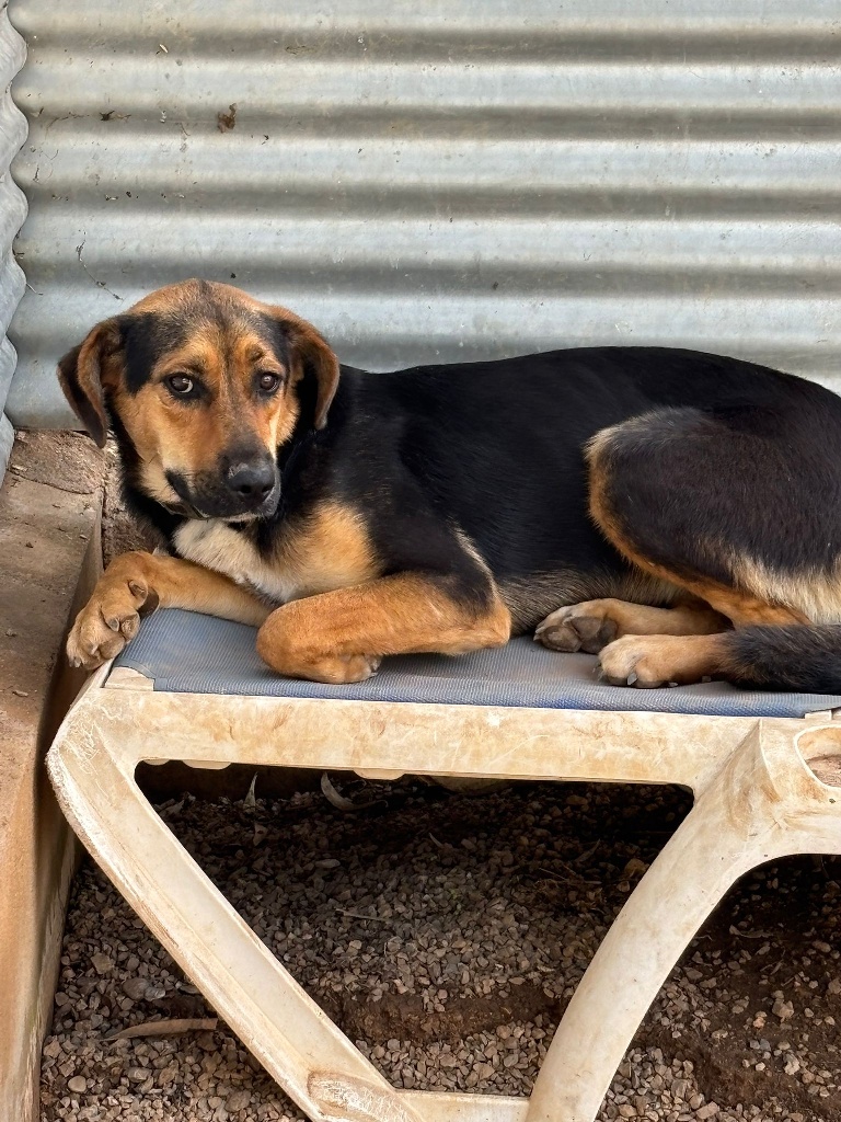 04 IMG 20251103 WA0045