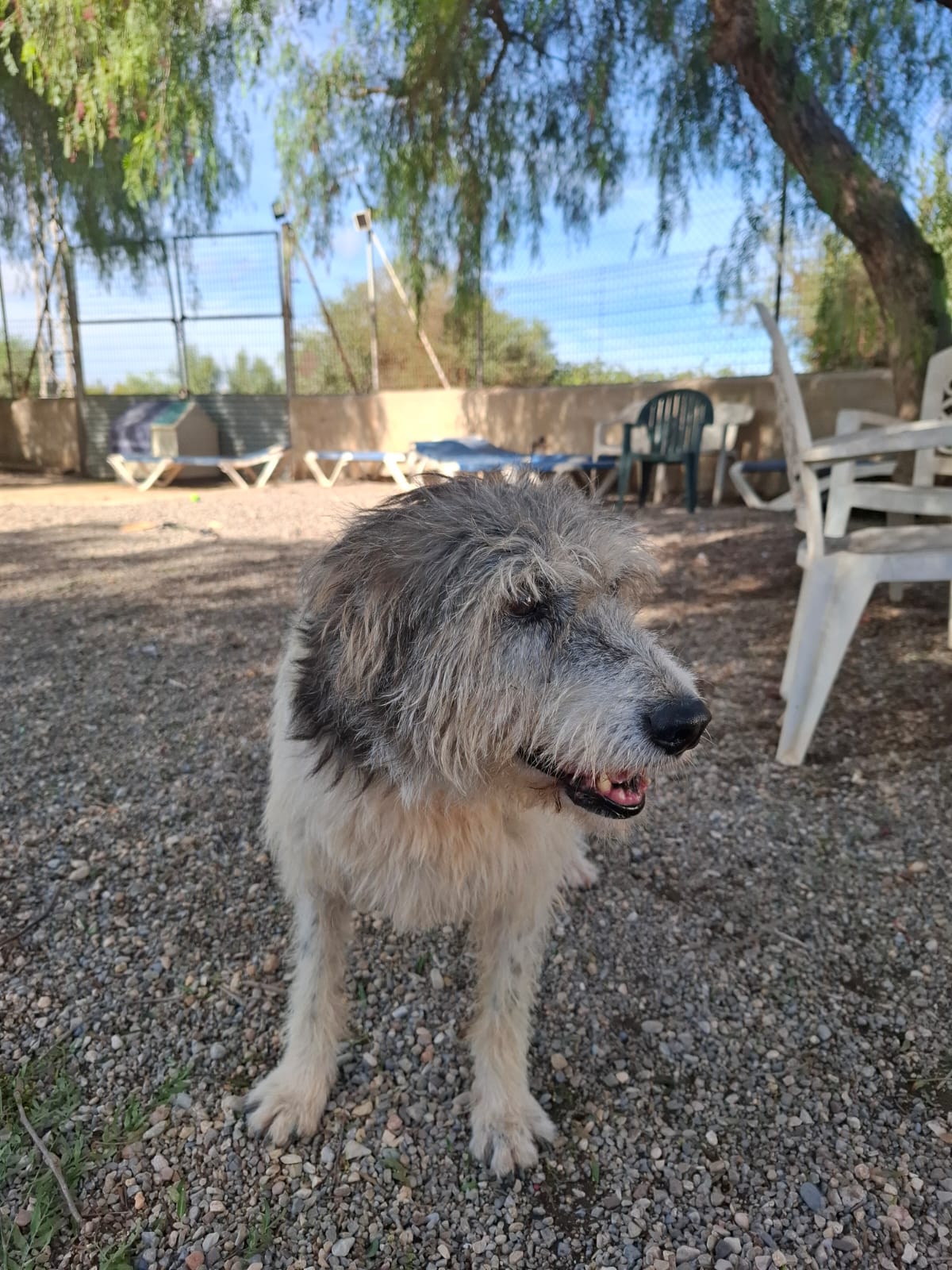 17 IMG 20251020 WA0037