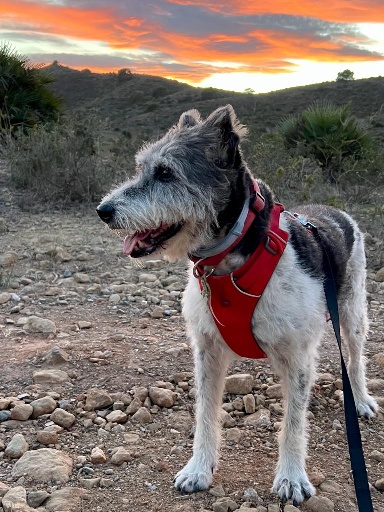 13 IMG 20231201 WA0037