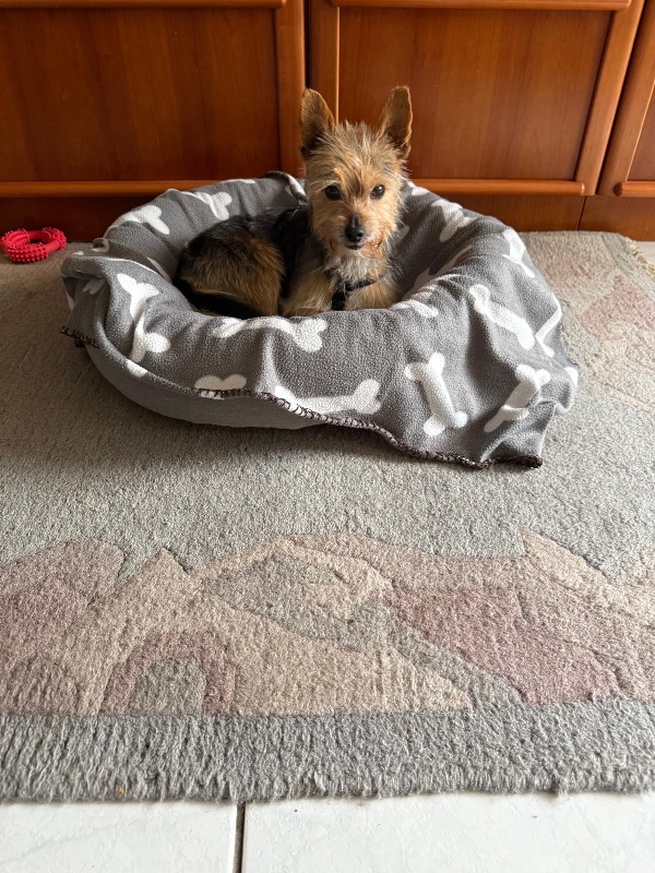 01 IMG 20251004 WA0034