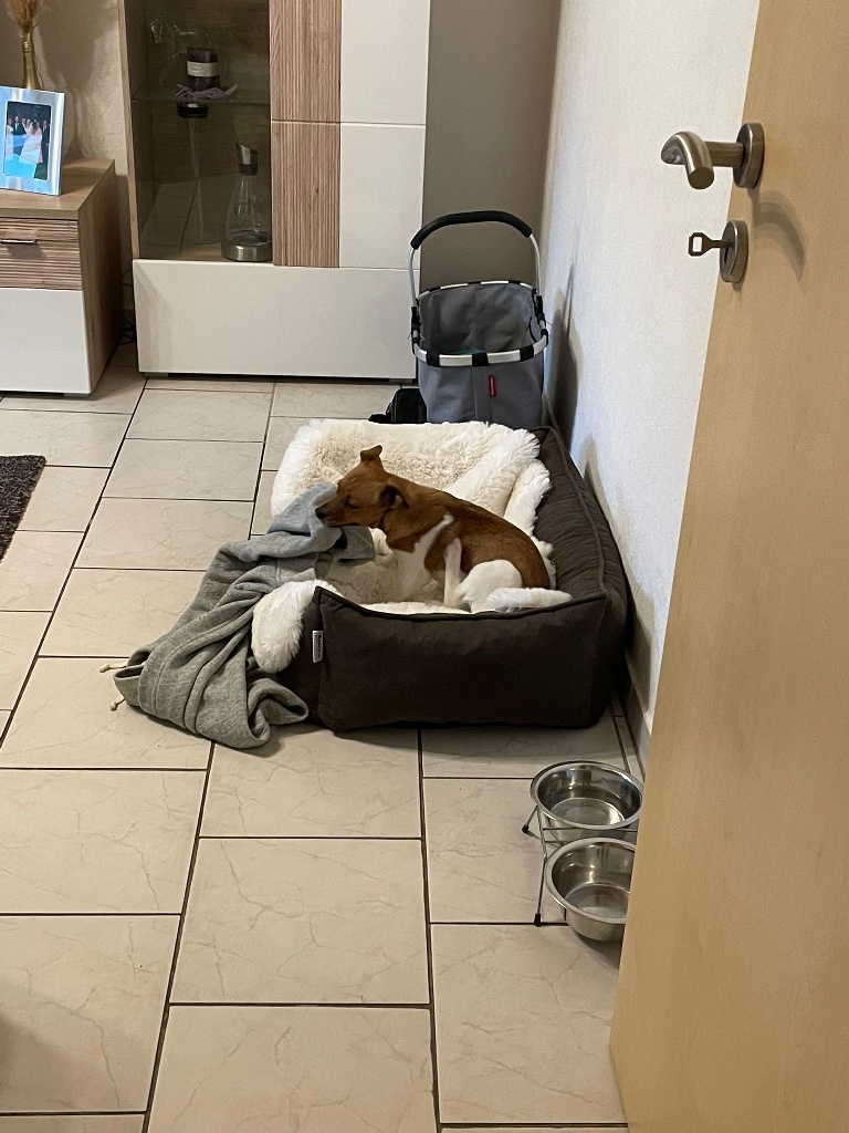 Jerry Pablo Zuhause 2