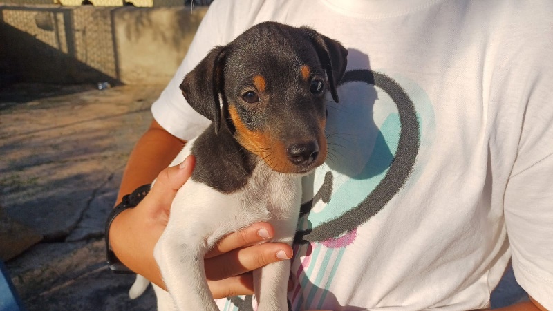 02 IMG 20250717 WA0008