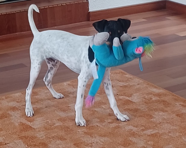 03 IMG 20251011 WA0005