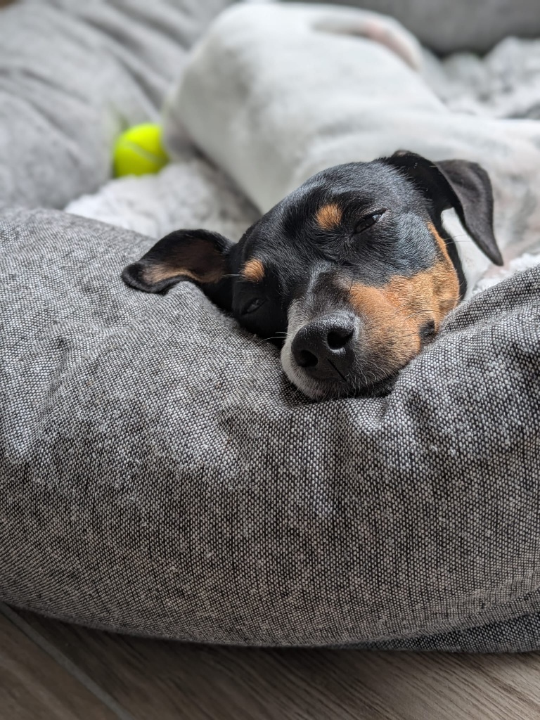 02 IMG 20251004 WA0026