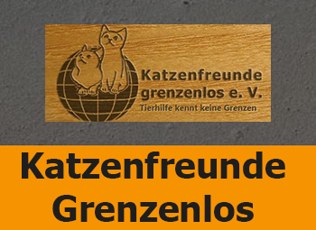 Katzenfreunde grenzenlos web