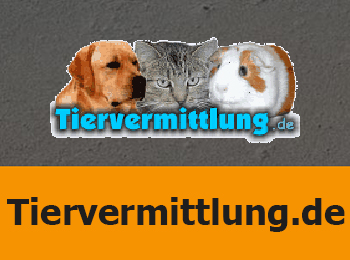 Tiervermittlung web