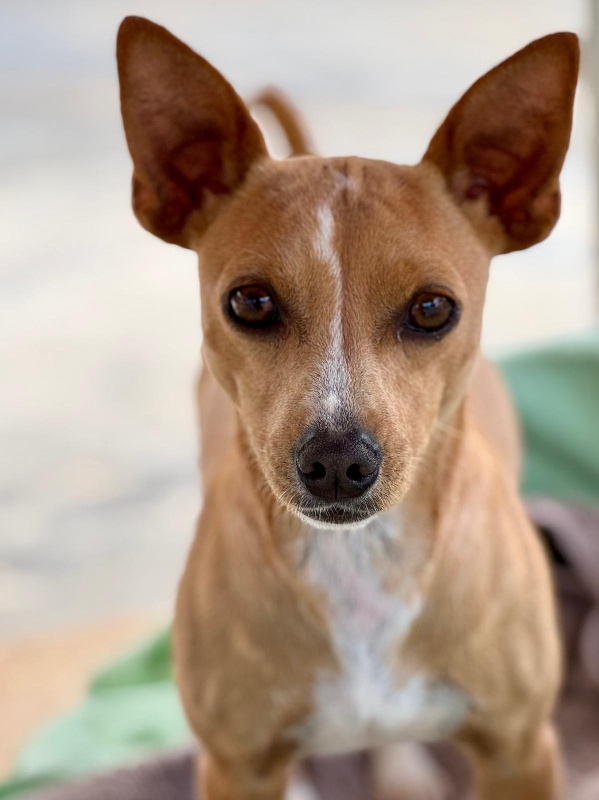 04 IMG 20250507 WA0026