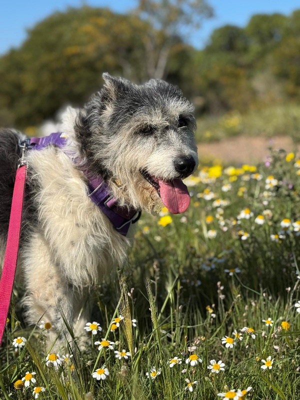 05 IMG 20250511 WA0017