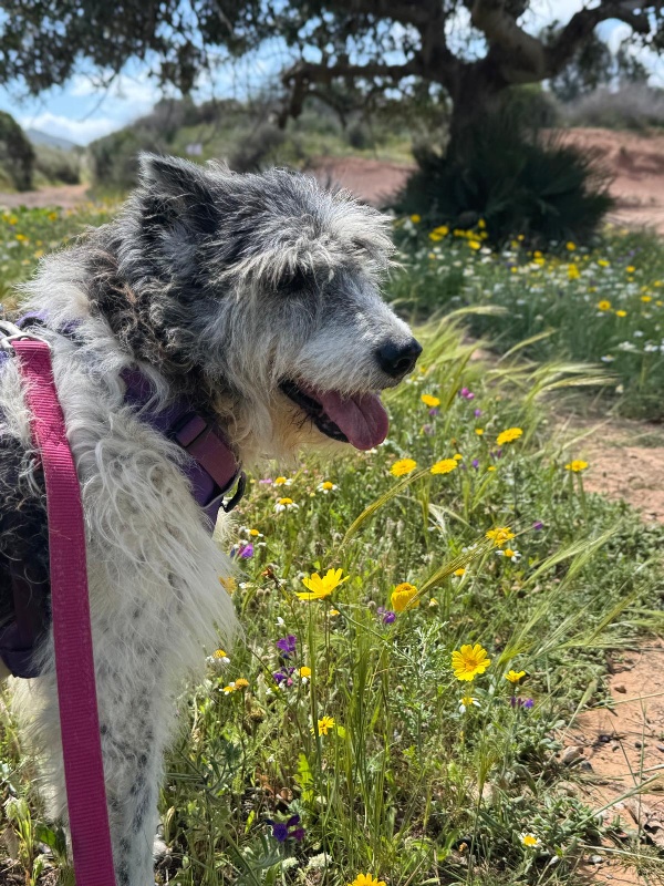 07 IMG 20250511 WA0031