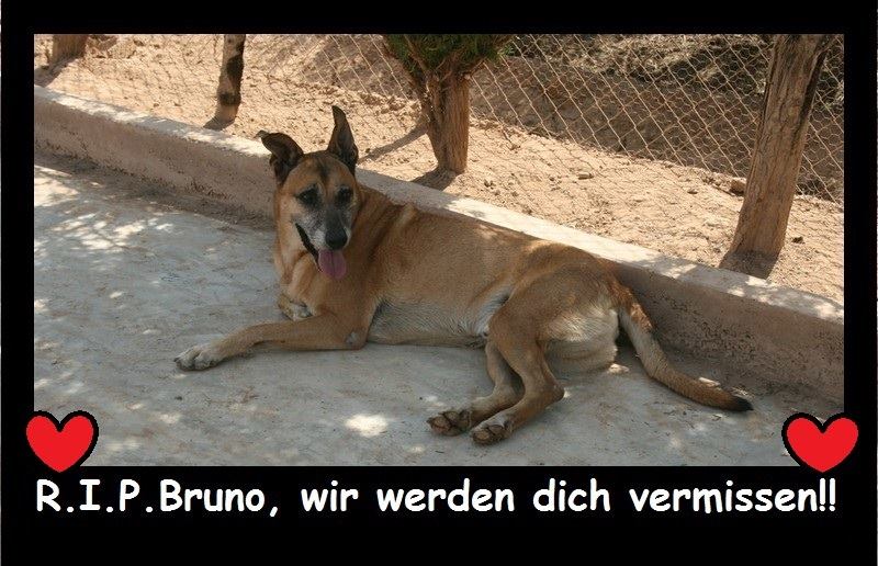 Bruno