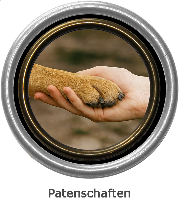 Patenschaften aktuell