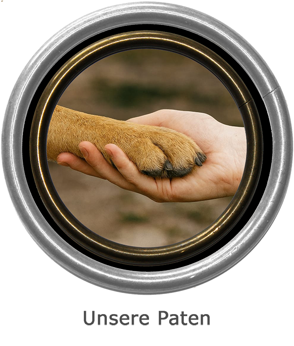 Unsere Paten aktuell