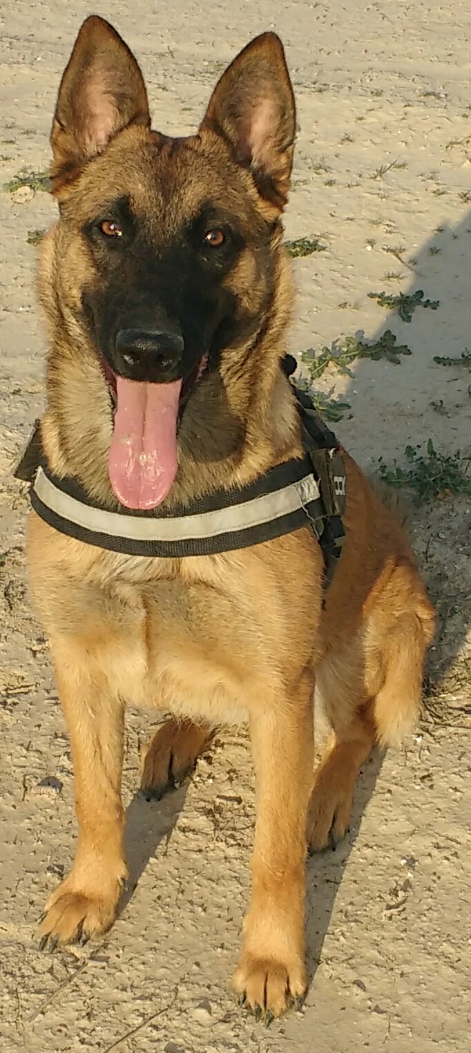 Sita3