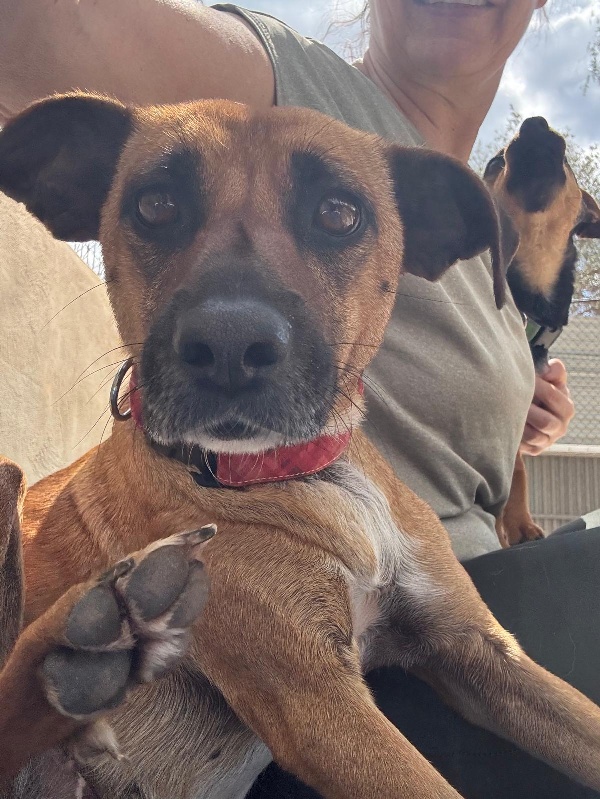 01 IMG 20250504 WA0027