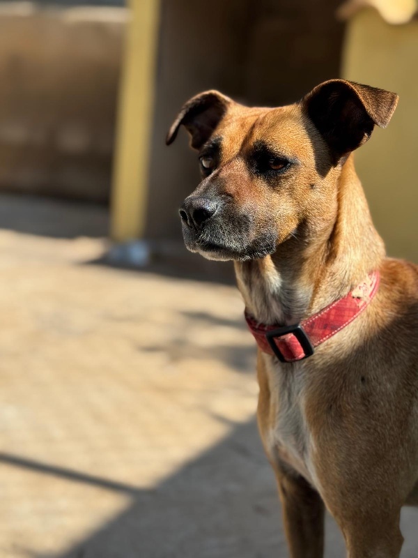 06 IMG 20250504 WA0044