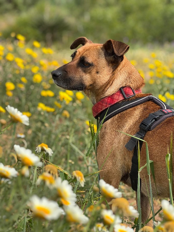 07 IMG 20250504 WA0050