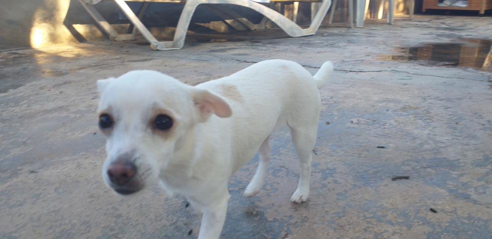 Julieta