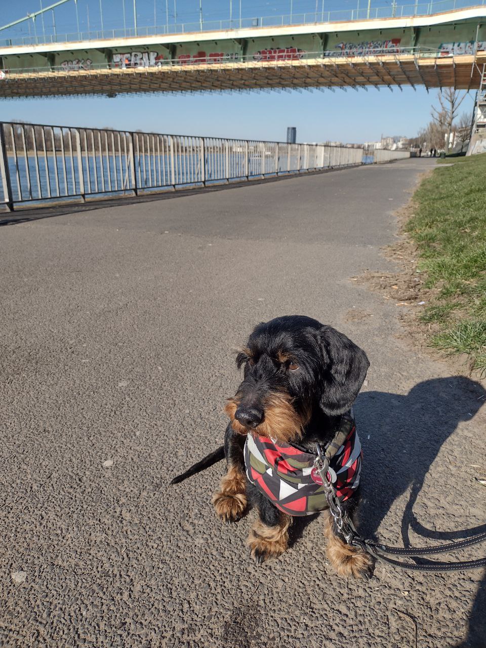 Hugo Regenbogenbrücke