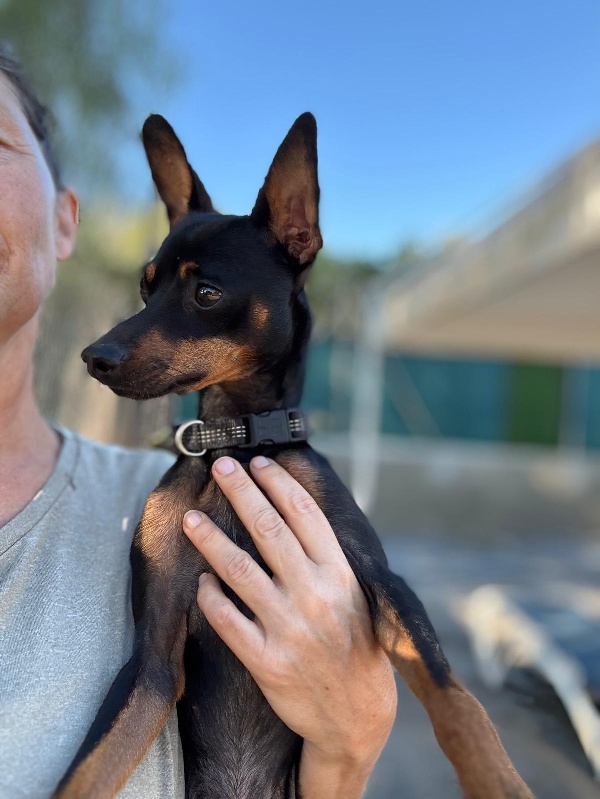 03 IMG 20251102 WA0015