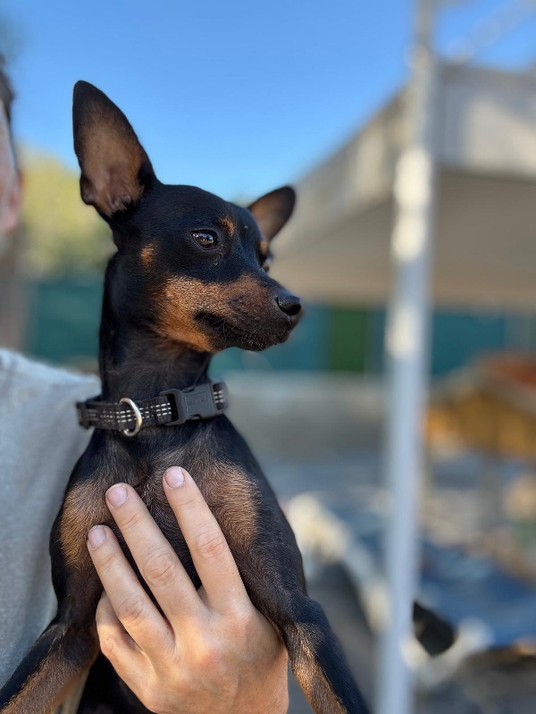 05 IMG 20251102 WA0013