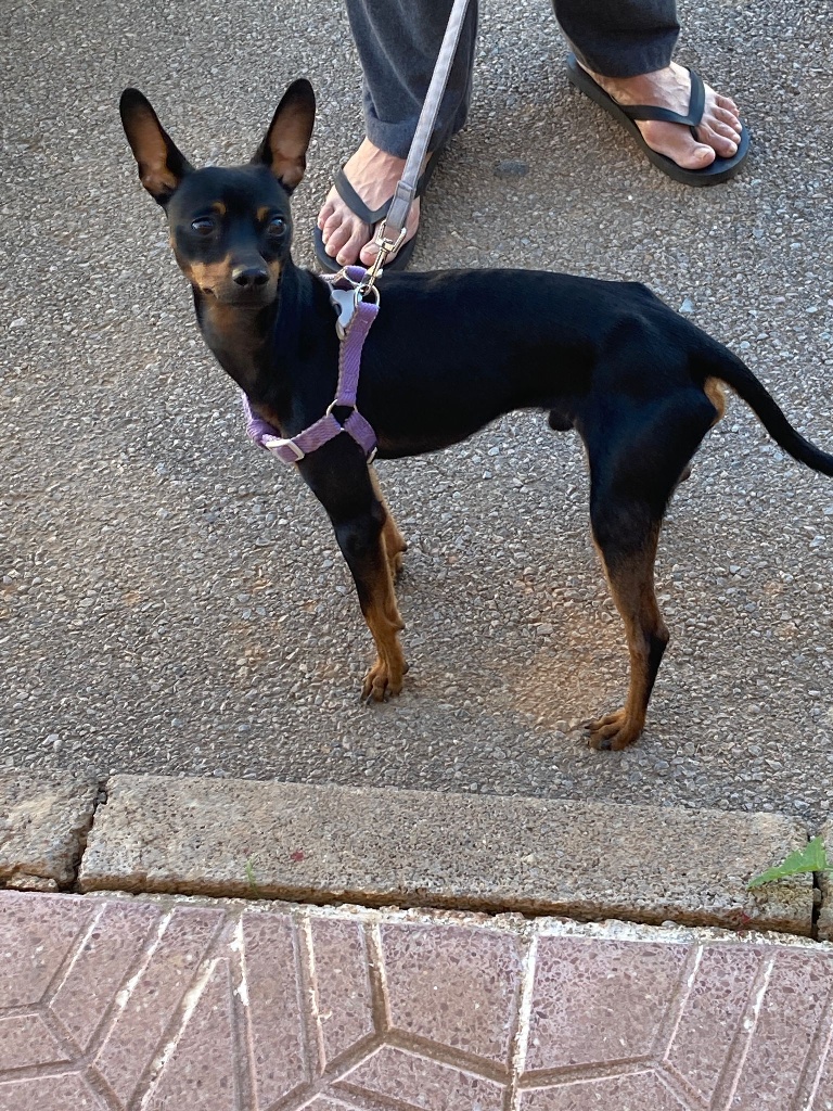 08 IMG 20251031 WA0006