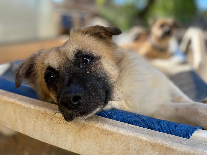 02 IMG 20251129 WA0015