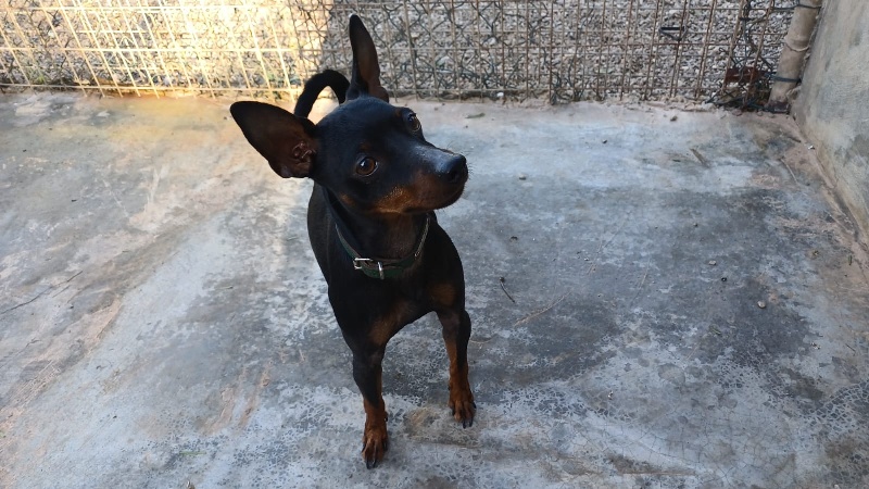 05 IMG 20251201 WA0026