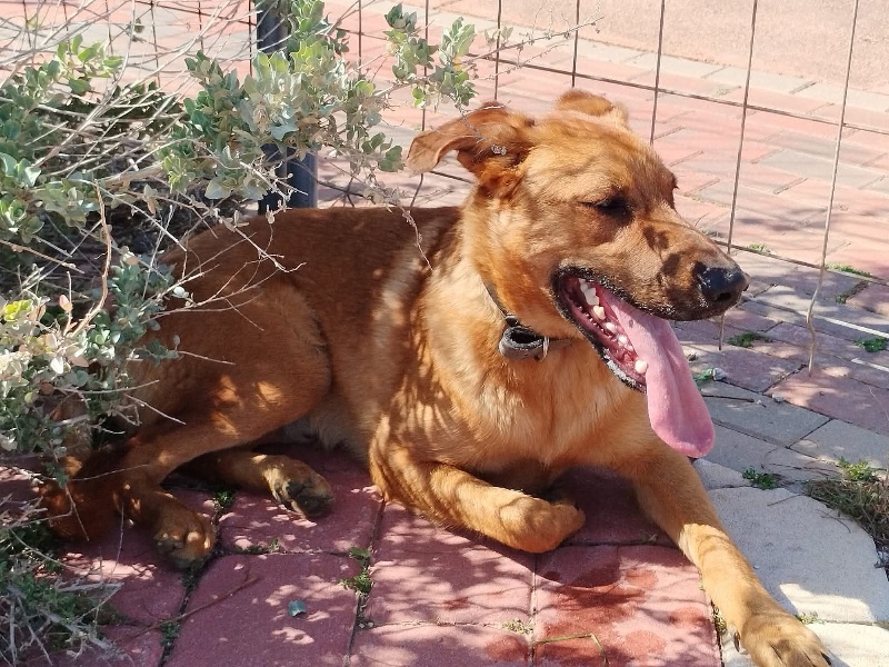 03 FB IMG 1751273396275