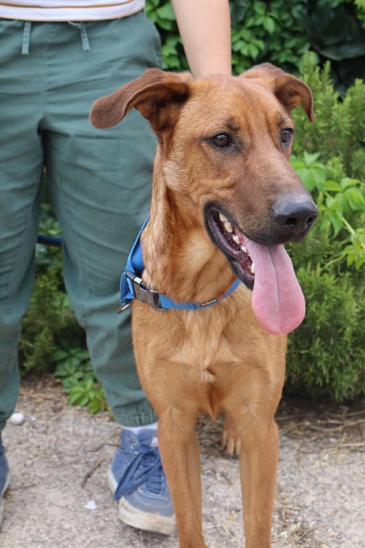 08 FB IMG 1751273375632