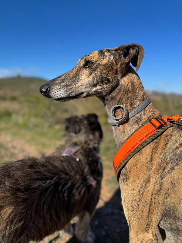 01 IMG 20251113 WA0040