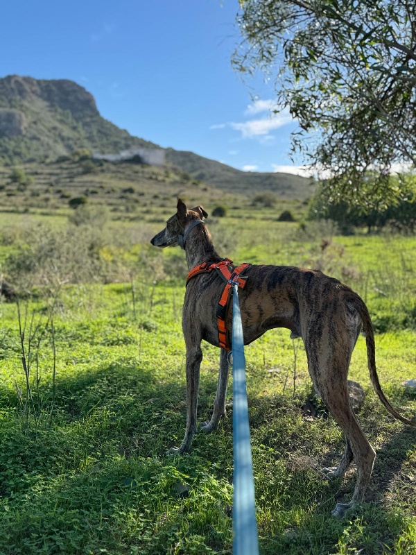 03 IMG 20251113 WA0037