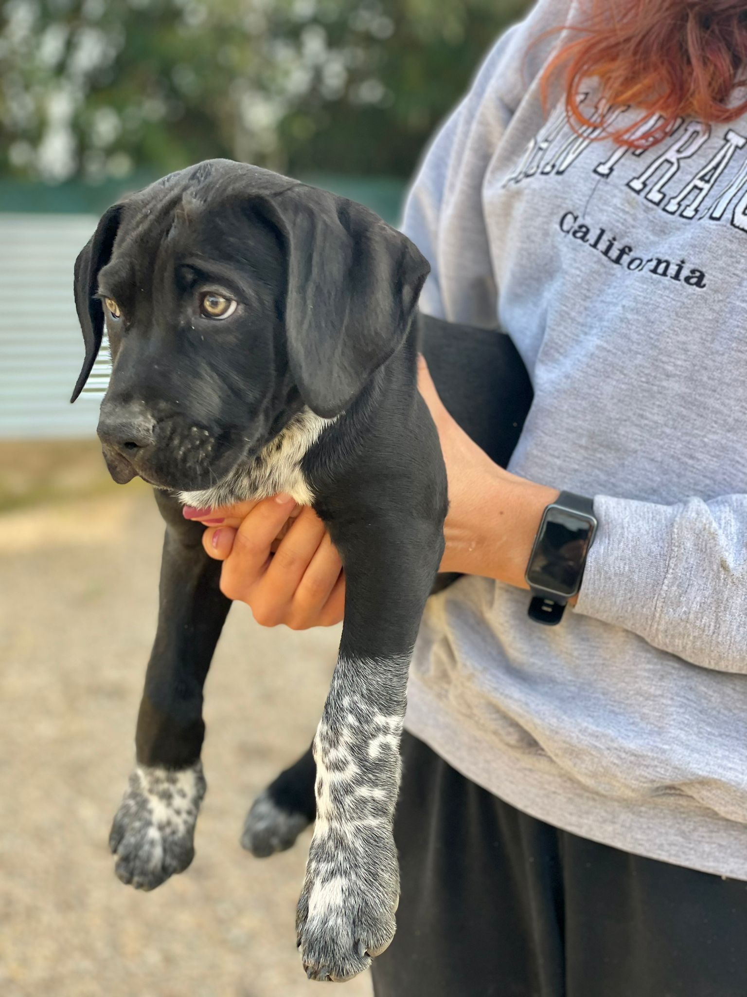 Tino1