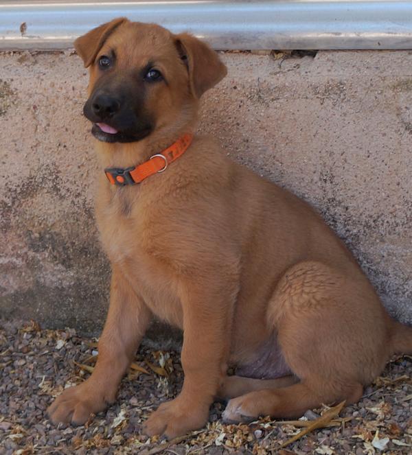 Ares 1 am 16.06.2026