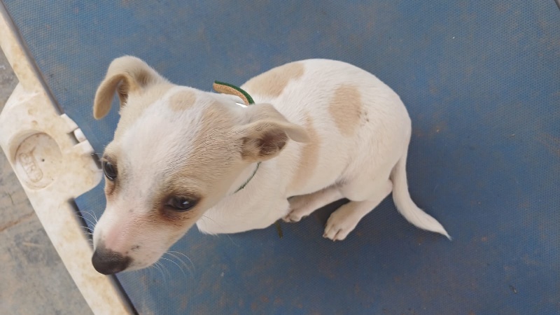 04 IMG 20251130 WA0056