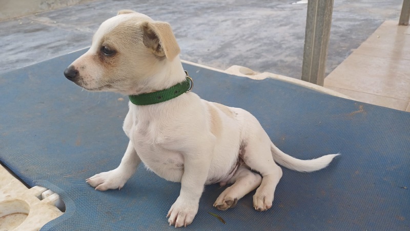 09 IMG 20251130 WA0054