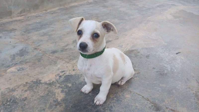 12 IMG 20251130 WA0050