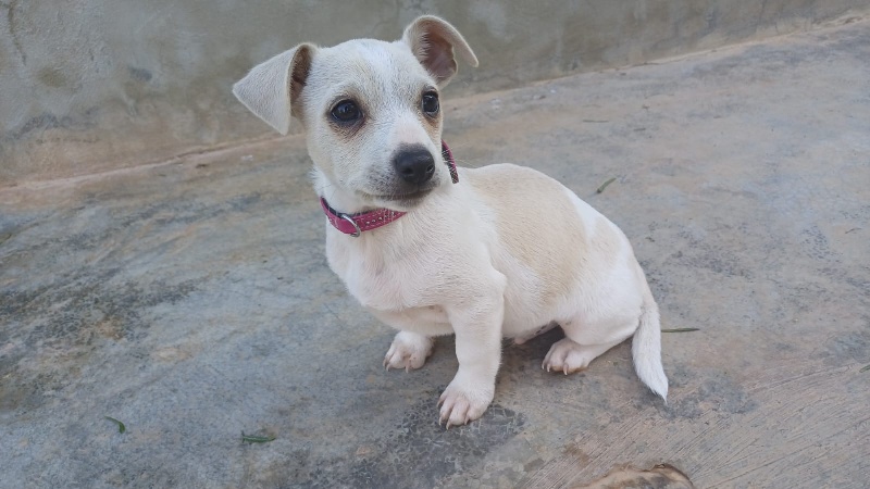 09 IMG 20251130 WA0036