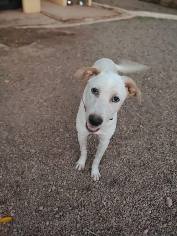 01 IMG 20251022 WA0004