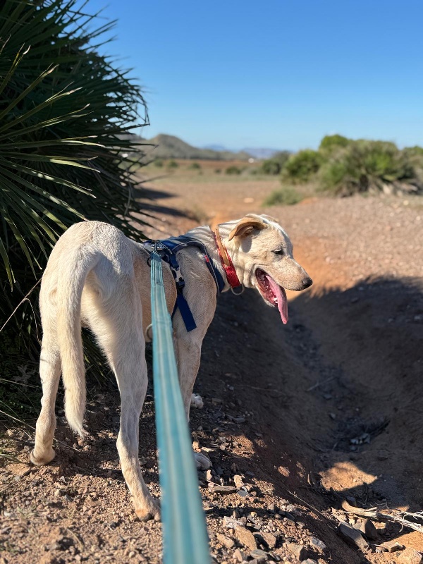 05 IMG 20251110 WA0031