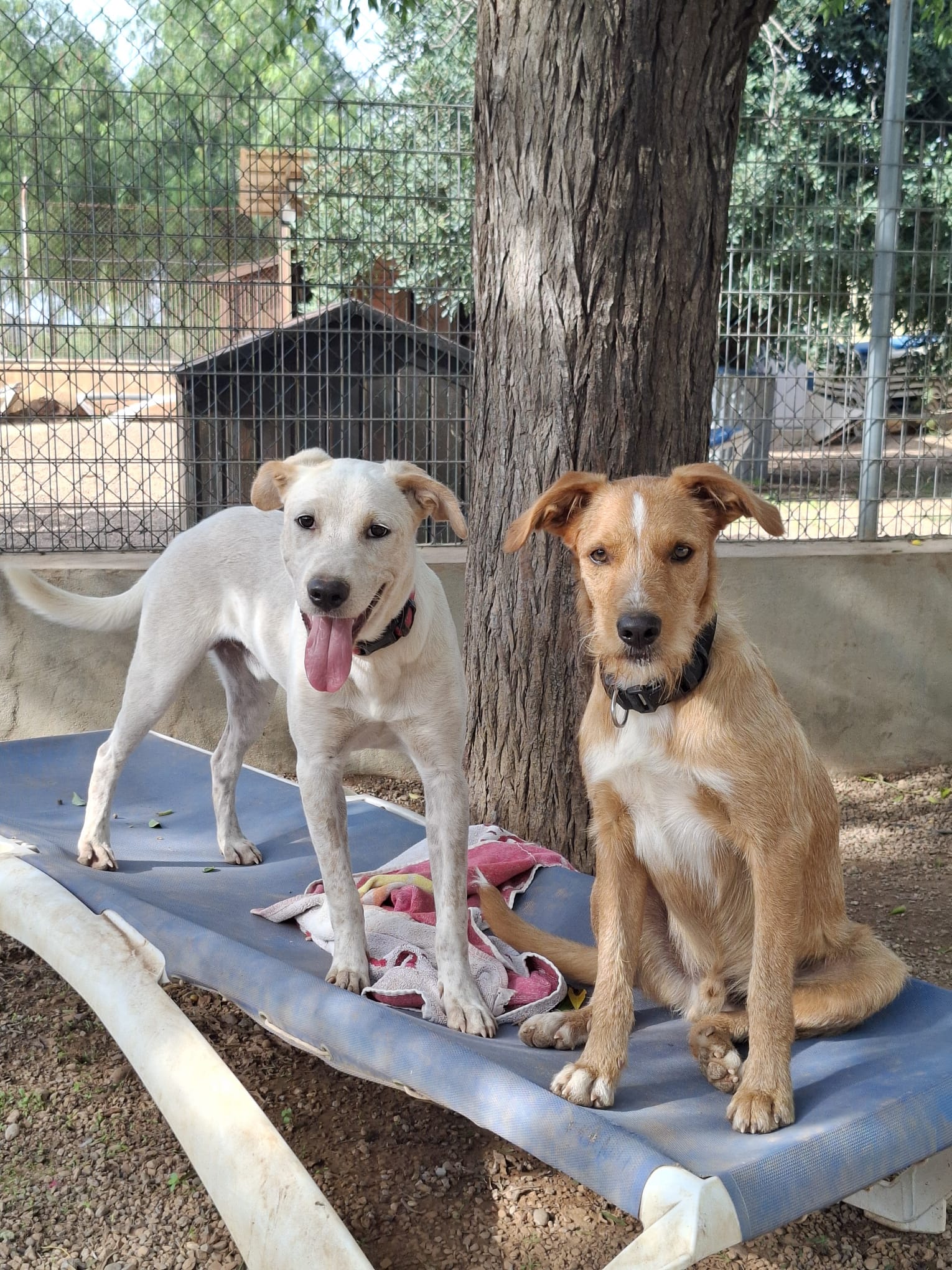 23 IMG 20251020 WA0026